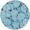 Blue Chocolate Nonpareils