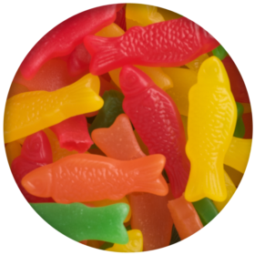 Jelly Belly Fish