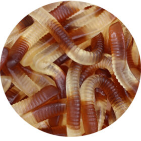 Cola Worm Gummies
