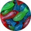Gummy Fish